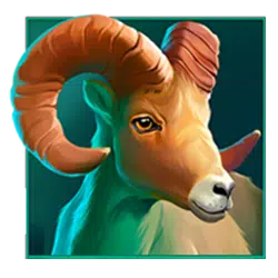mouflon